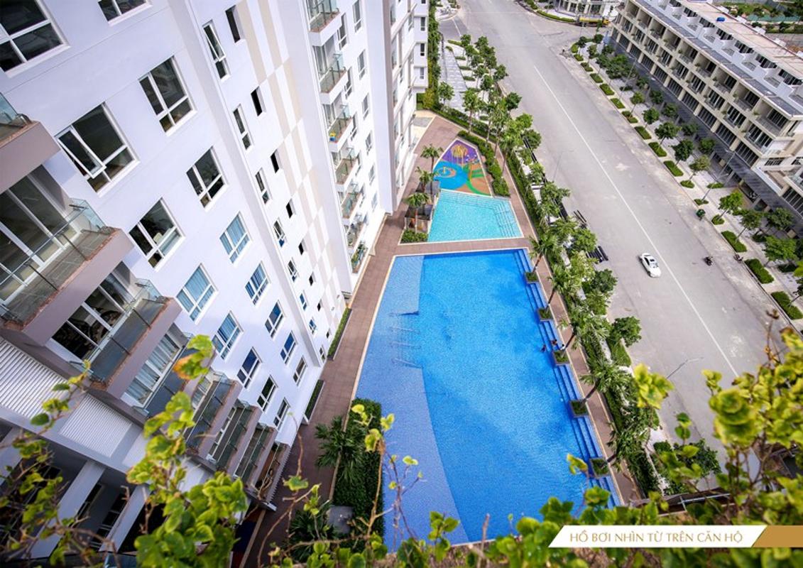 Sarimi Sala Đại Quang Minh - Hồ bơi nội khu Sarimi Sala