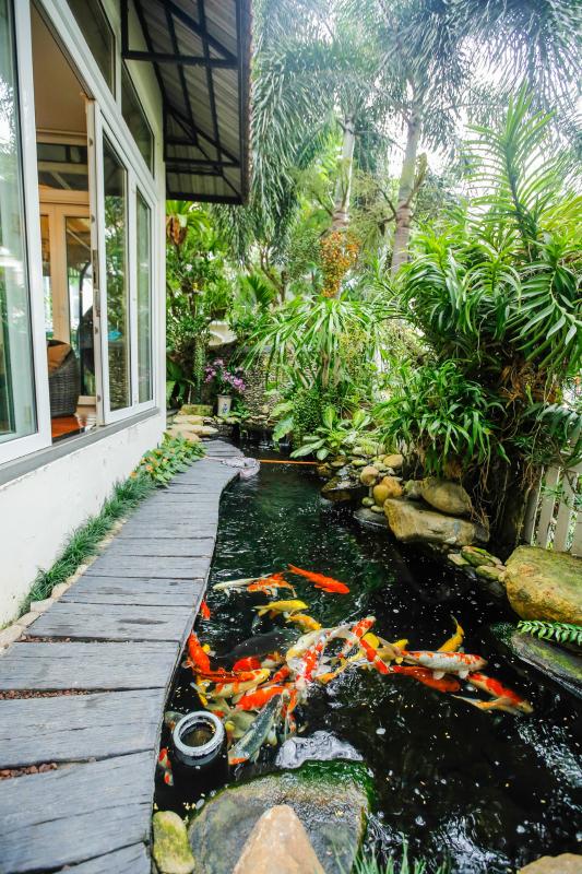 Hồ cá Koi ở sân vườn Villa sân vườn Nam Thông 3