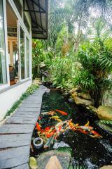 Hồ cá Koi ở sân vườn Villa sân vườn Nam Thông 3