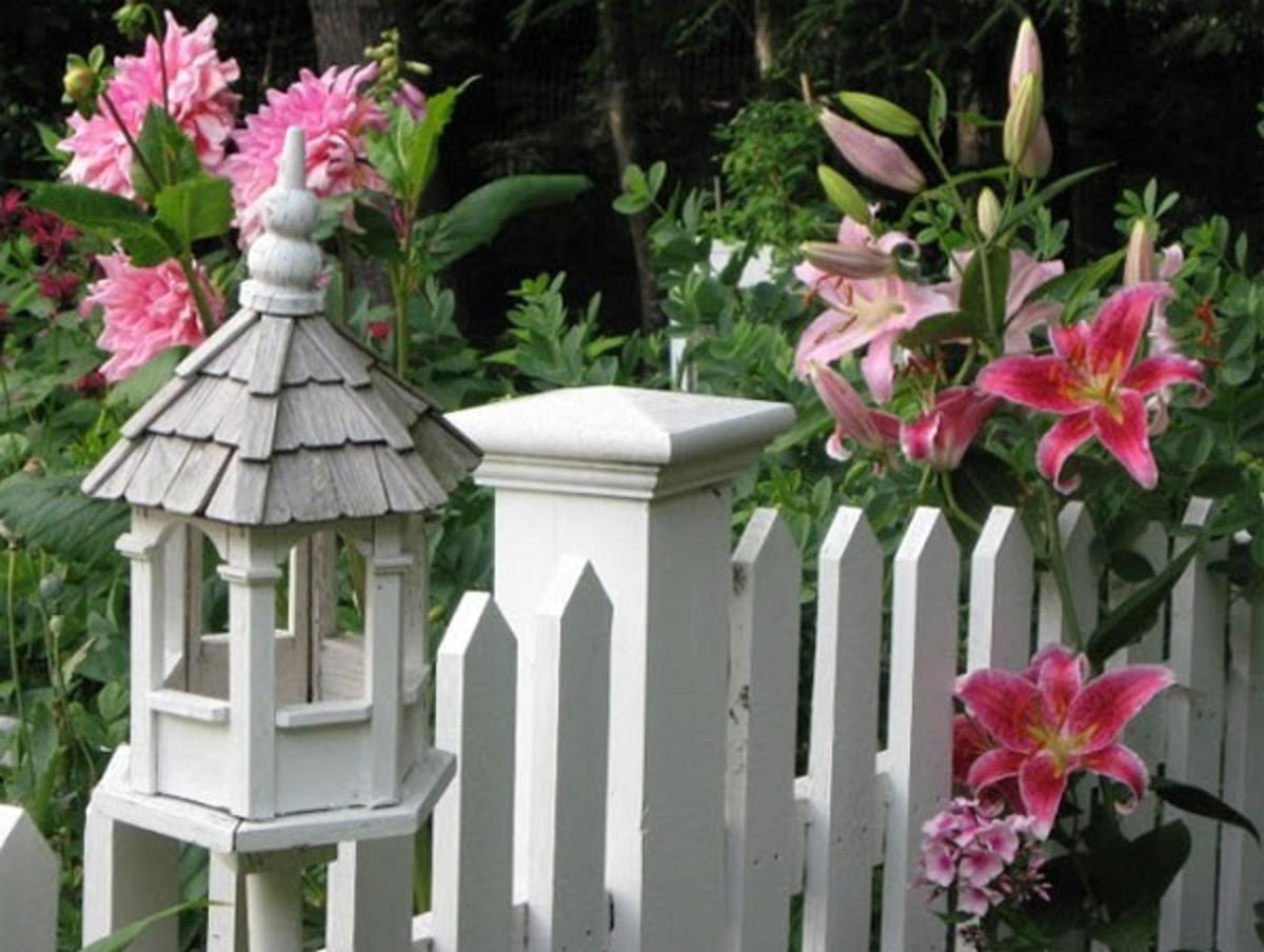 Nhà xinh tươi với những hàng rào ngập hương sắc