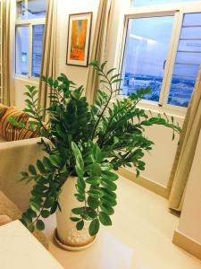 Căn hộ chung cư Mỹ Viên, Quận 7 Căn hộ Penthouse chung cư Mỹ Viên view nội khu yên tĩnh.