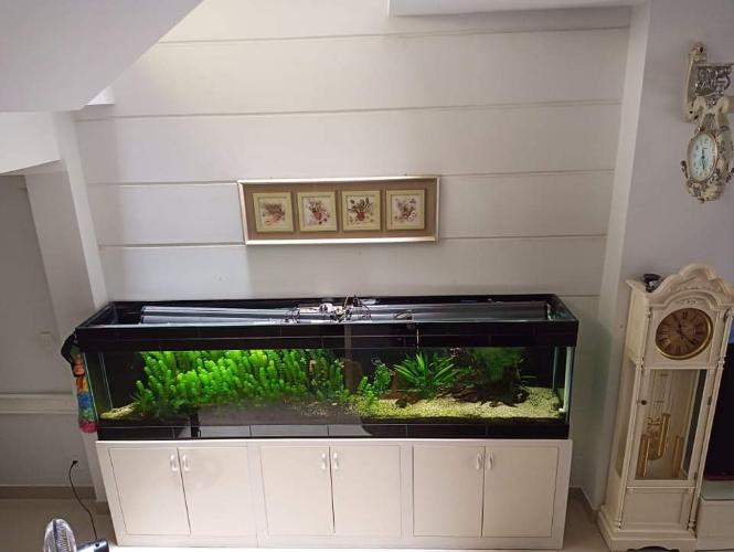 Nhà phố Nhà Bè Bán nhà cách Bệnh viện Nhà Bè hơn 500m, nội thất cơ bản.