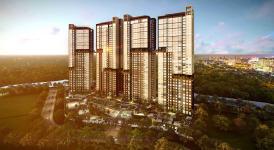 Những thông tin cập nhật mới nhất về Palm Garden