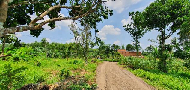 Bán đất nền đường Long Thuận, diện tích đất 50.8m2, chiều rộng 5.07m, chiều dài 10m, sổ hồng đầy đủ