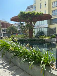 Tiện ích căn hộ The Golden Star , Quận 7 Căn hộ chung cư The Golden Star tầng 16 view thoáng mát, đầy đủ nội thất.