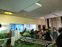 Khai trương chính thức căn hộ mẫu Palm Garden