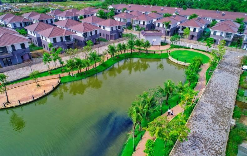 Camellia Garden - camellia-garden-1.jpg