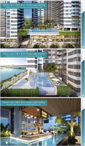 D'Lusso, Quận 8 Căn hộ D'Lusso Block B tầng 12 view thoáng mát, không nội thất.