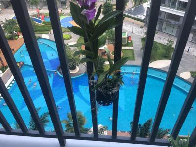 view nội khu hồ bơi căn hộ Safira Khang Điền Căn hộ Safira Khang Điền view hồ bơi nôi khu, nội thất cơ bản