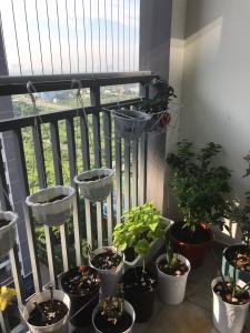 Ban công căn hộ Him Lam Phú An Bán căn hộ Him Lam Phú An block C, diện tích 68m2 - 2 phòng ngủ, nội thất cơ bản