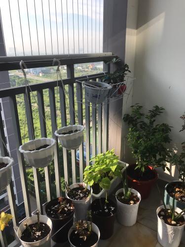 Ban công căn hộ Him Lam Phú An Bán căn hộ Him Lam Phú An block C, diện tích 68m2 - 2 phòng ngủ, nội thất cơ bản