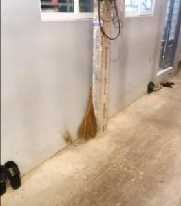 ĐƯờng hẻm nhà phố Quận 7 Nhà phố diện tích sử dụng 30.8m2, có sổ hồng và pháp lý rõ ràng.