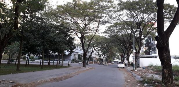 Nôi khu  căn hộ Thủ Thiêm Star Căn hộ Thủ Thiêm Star 2 phòng ngủ, dọn vào ở ngay.