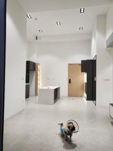 Không gian căn hộ Palm Heights, Quận 2 Căn hộ tầng trệt Palm Heights đầy đủ nội thất, 2 phòng ngủ.