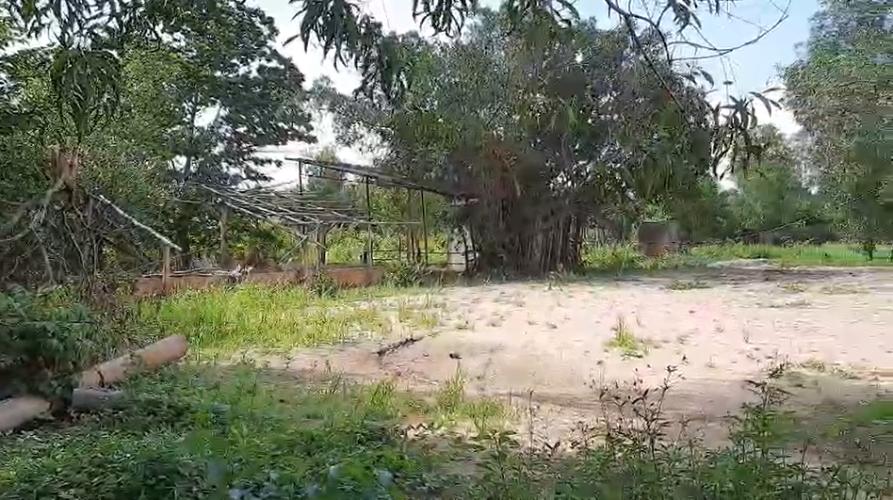 đất nền Long Trường Quận 9 Bán 1559m2 đất nền hẻm 206 Long Thuận, Long Trường Quận 9