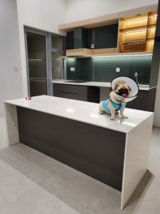 Không gian căn hộ Palm Heights, Quận 2 Căn hộ tầng trệt Palm Heights đầy đủ nội thất, 2 phòng ngủ.