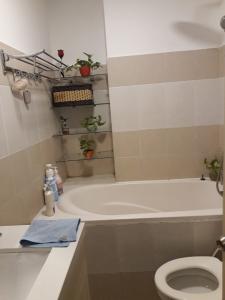 Toilet Conic Garden, Bình Chánh Căn hộ Conic Garden tầng trung, view đón gió.