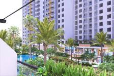 Jamila Khang Điền - phoi-canh-jamila