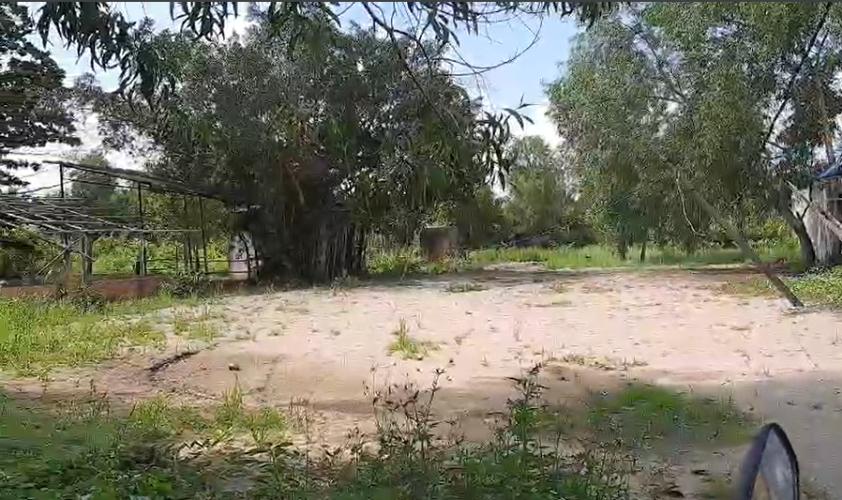 đất nền Long Trường Quận 9 Bán 1559m2 đất nền hẻm 206 Long Thuận, Long Trường Quận 9