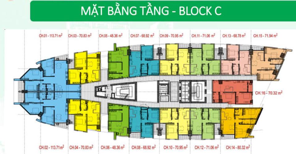 Royal Paradise - mat-bang-tang-dien-hinh-du-an-Royal-Paradise