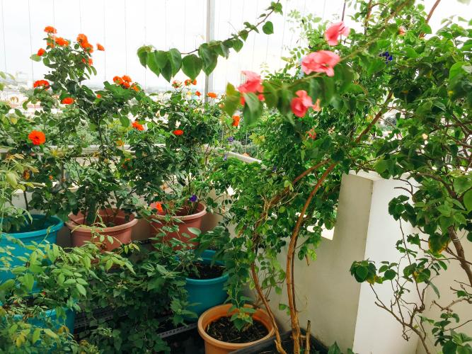 Căn hộ chung cư Mỹ Viên, Quận 7 Căn hộ Penthouse chung cư Mỹ Viên view nội khu yên tĩnh.