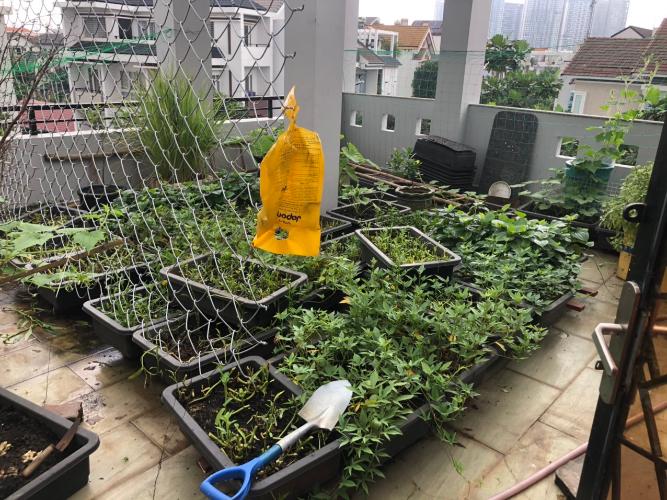 027b1e654057be09e746 Biệt thự Quận 2 ven sông, thiết kế hiện đại, vị trí đắc địa.