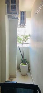 căn hộ Topaz Elite quận 8 Căn hộ Topaz Elite tầng trung đón view công viên mát mẻ.