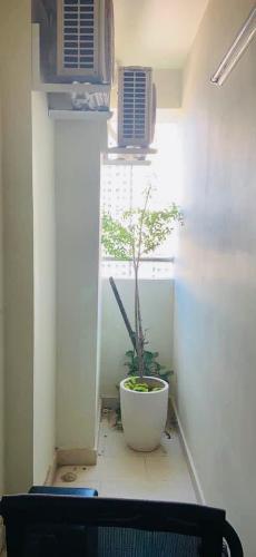 căn hộ Topaz Elite quận 8 Căn hộ Topaz Elite tầng trung đón view công viên mát mẻ.