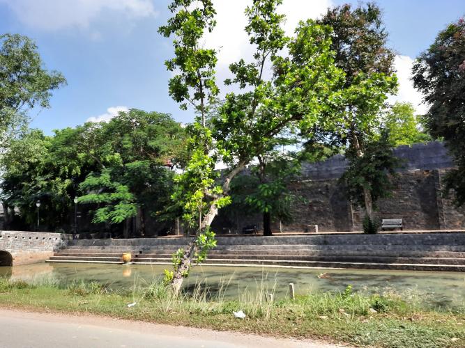 đất nền Long Trường Quận 9 Bán 1559m2 đất nền hẻm 206 Long Thuận, Long Trường Quận 9