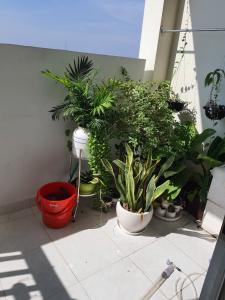 Căn hộ chung cư TDH Phước Long, Quận 9 Căn hộ chung cư TDH Phước Long tầng cao, view thành phố.