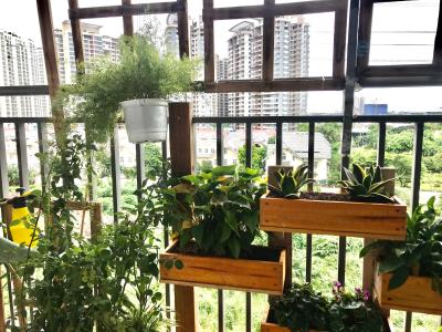 Căn hộ Sunrise Riverside Căn hộ Sunrise Riverside tầng thấp, view nội khu hồ bơi thoáng mát.