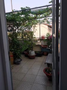 Sân thượng nhà phố Quận 7 Bán nhà 3 tầng phường Phú Mỹ, Quận 7, cách cầu Phú Xuân 500m