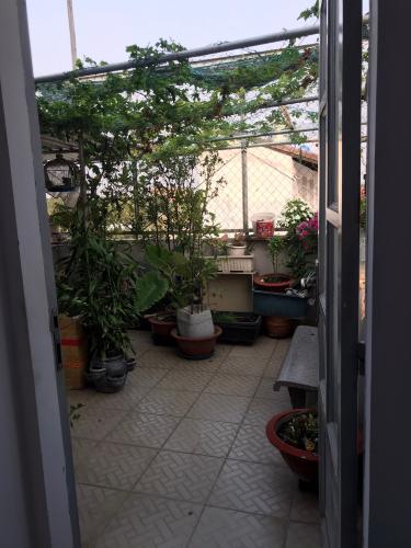 Sân thượng nhà phố Quận 7 Bán nhà 3 tầng phường Phú Mỹ, Quận 7, cách cầu Phú Xuân 500m