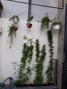 Trang trí nhà phố Quận 9 Bán nhà 3 tầng hẻm 47 Trường Lưu, Quận 9, DT 52m2, gần chợ Long Trường