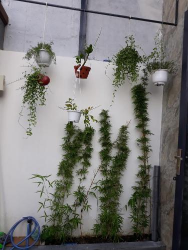 Trang trí nhà phố Quận 9 Bán nhà 3 tầng hẻm 47 Trường Lưu, Quận 9, DT 52m2, gần chợ Long Trường