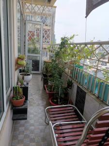 Ban công chung cư Bưu Điện Quận 10 Căn hộ chung cư Bưu điện trung tâm quận 10, ban công cây xanh.