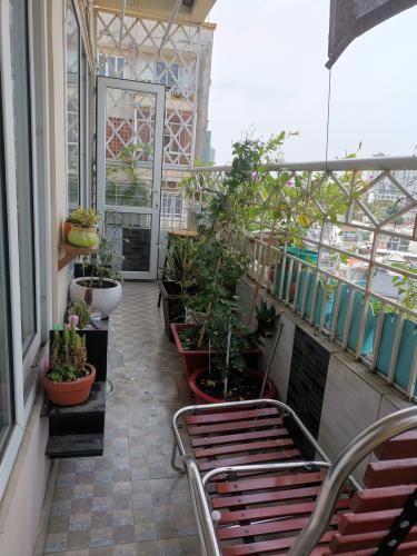 Ban công chung cư Bưu Điện Quận 10 Căn hộ chung cư Bưu điện trung tâm quận 10, ban công cây xanh.