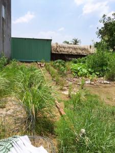 Đất nền Quận 9 Bán đất nền đường Lò Lu, sổ hồng pháp lý đầy đủ, diện tích đất 80.2m2.