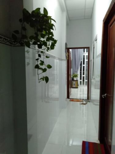 Nhà phố Bình Tân Bán nhà hẻm Bình Trị Đông, Bình Tân, sổ hồng, hướng Nam, cách Vòng xoay Phú Lâm 1.5km