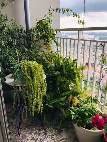 Ban công căn hộ Sunsire City Căn hộ Sunrise City khu North ban công lớn view thành phố thoáng mát.