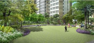 Palm City - Công viên nội khu