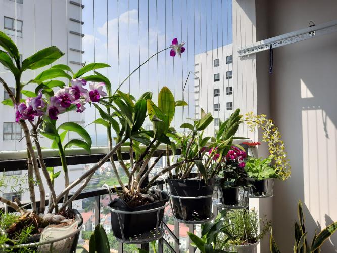 View Saigon South Residence Căn hộ Saigon South Residence tầng cao, ban công hướng Nam.