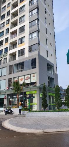 Masteri An Phú, Quận 2 Shop-house Masteri An Phú diện tích 182m2, bàn giao nội thất cơ bản.