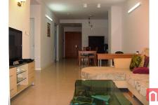 PN Techcons - mau-can-ho-PN-Techcons-phu-nhuan