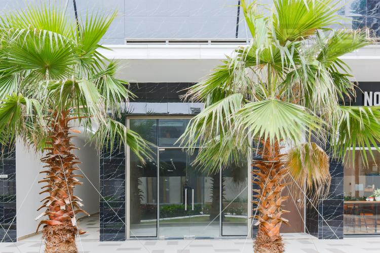 Mặt Tiền Shophouse The Botanica Quận Tân Bình chưa có nội thất