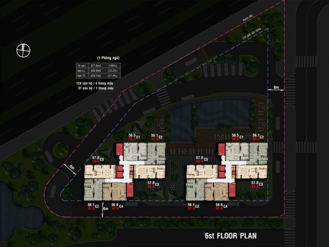 Charmington Hoa Đồng - Mặt bằng Charmington Hoa Đồng