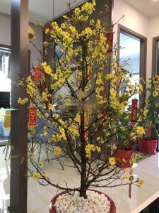 Phòng khách căn hộ Tecco Green Nest, Quận 12 Căn hộ Tecco Green Nest tầng trung, đầy đủ nội thất cao cấp tiện nghi.
