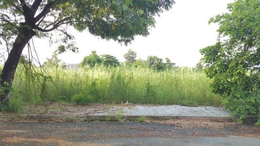 Bán đất phường Trường Thạnh, Quận 9, diện tích đất 298.3m2, sổ hồng đầy đủ.