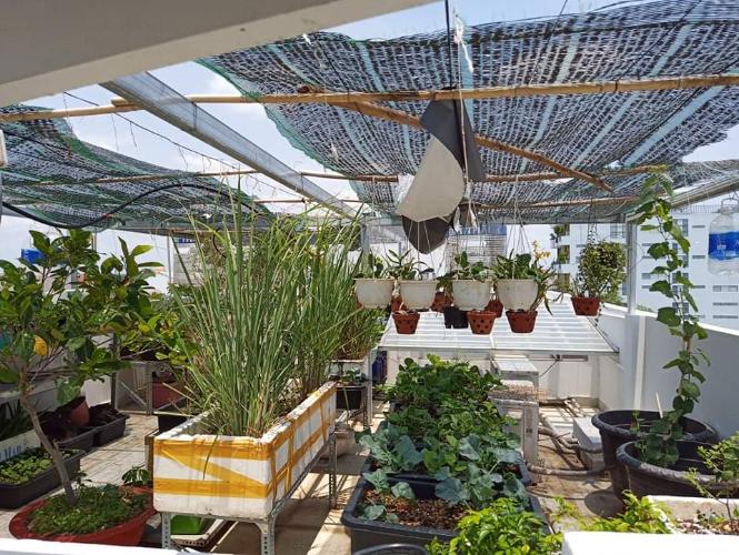 Nhà phố Nhà Bè Bán nhà cách Bệnh viện Nhà Bè hơn 500m, nội thất cơ bản.