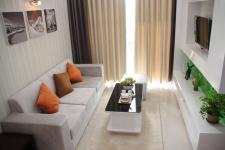 Western Dragon - mau-can-ho-Western-Dragon